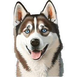 Siberian Husky