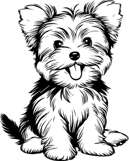 Silky Terrier