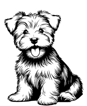 Skye Terrier