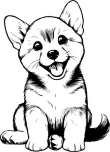 Swedish Vallhund