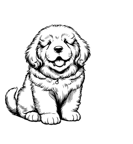 Tibetan Mastiff