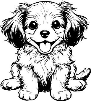 Tibetan Spaniel