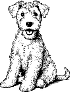 Wire Fox Terrier