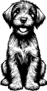 Wirehaired Pointing Griffon