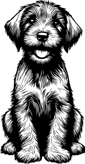 Wirehaired Pointing Griffon