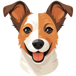 Jack Russell Terrier