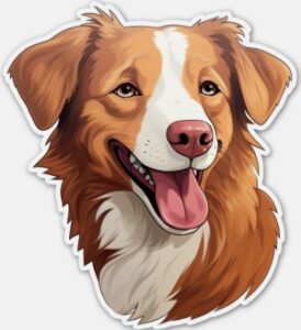 Nova Scotia Duck Tolling Retriever