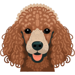Poodle (Miniature)